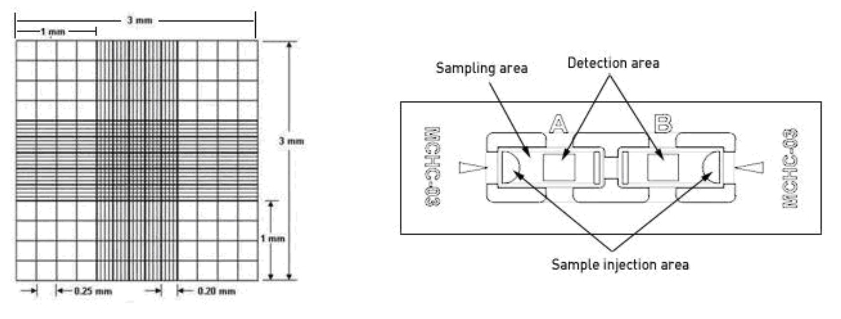 Cell Culture